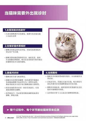 费利威对猫咪的作用-图2