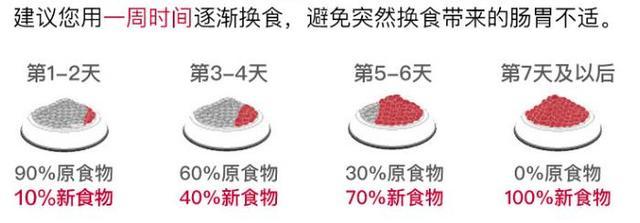 一种狗粮吃多久才换