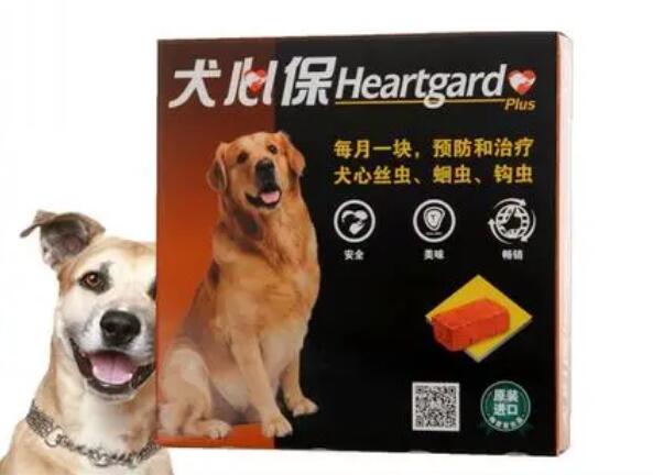 小型犬用什么驱虫药好一点-图1