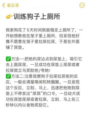 训练狗狗大小便的方法-图1