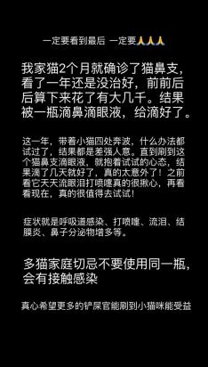 猫鼻支怎么能彻底治好-图1