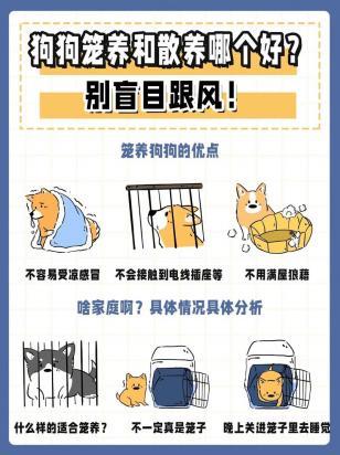 柴犬适合笼养还是散养-图1