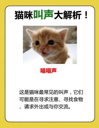 猫发出咕噜咕噜的声音是什么意思-图1